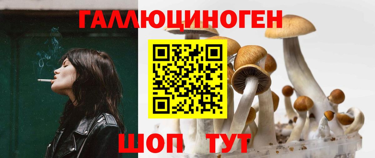 Псилоцибиновые грибы Psilocybe Карпинск
