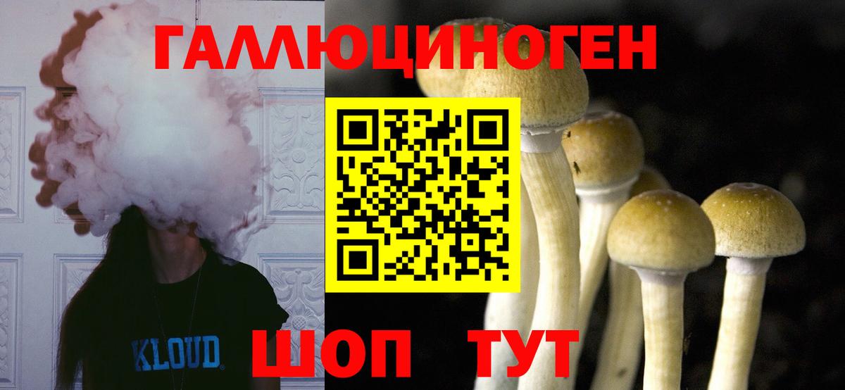 Карпинск  Галлюциногенные грибы Magic Shrooms  Вход с VPN 